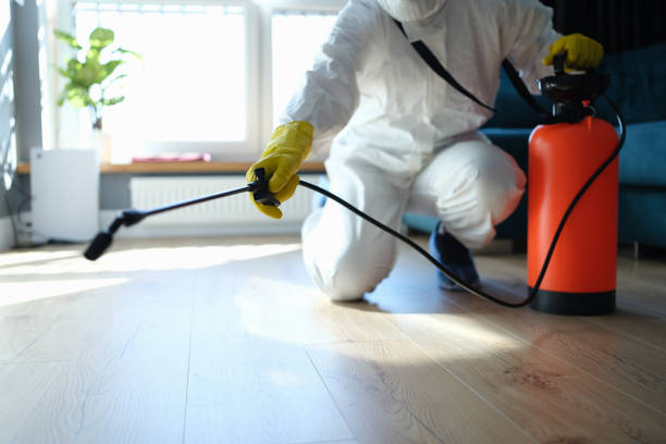Reliable Biohazard contractor in Oak Hill, FL by Trauma Clean Pros